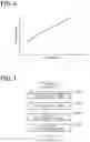 Fig. 07 - Image reading apparatus, image forming system, curl amount calculation method, and storage medium comprising a conveyor, a reader and a first hardwarte processor that calculates a blur amount of an extracted edge and calculates a curl amount of a sheet based on the calculated blur amount