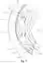 Fig. 07 - Roller clutch