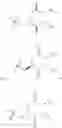 Fig. 321 - PANTETHEINE DERIVATIVES AND USES THEREOF