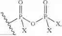 Fig. 367 - PANTETHEINE DERIVATIVES AND USES THEREOF