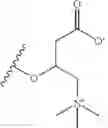 Fig. 554 - PANTETHEINE DERIVATIVES AND USES THEREOF