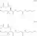 Fig. 656 - PANTETHEINE DERIVATIVES AND USES THEREOF