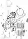 Fig. 02 - Engine braking castellation mechanism