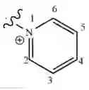 Fig. 1024 - CHARGED ION CHANNEL BLOCKERS AND METHODS FOR USE
