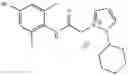 Fig. 232 - CHARGED ION CHANNEL BLOCKERS AND METHODS FOR USE