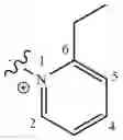 Fig. 601 - CHARGED ION CHANNEL BLOCKERS AND METHODS FOR USE