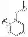 Fig. 643 - CHARGED ION CHANNEL BLOCKERS AND METHODS FOR USE