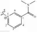 Fig. 731 - CHARGED ION CHANNEL BLOCKERS AND METHODS FOR USE