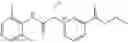 Fig. 77 - CHARGED ION CHANNEL BLOCKERS AND METHODS FOR USE