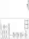 Fig. 28 - Missing data-based indexing in database systems