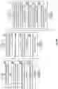 Fig. 98 - Missing data-based indexing in database systems