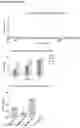 Fig. 04 - METHOD FOR IDENTIFYING NEO-ANTIGENS
