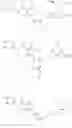 Fig. 199 - HEPATITIS B CAPSID ASSEMBLY MODULATORS