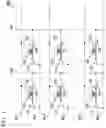 Fig. 02 - MAGNETIZATION ROTATION ELEMENT, MAGNETORESISTANCE EFFECT ELEMENT, MAGNETIC RECORDING ARRAY, HIGH FREQUENCY DEVICE, AND METHOD FOR MANUFACTURING MAGNETIZATION ROTATION ELEMENT