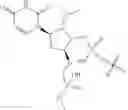 Fig. 02 - COMPOSITIONS AND METHODS FOR INHIBITING ALPHA-1 ANTITRYPSIN EXPRESSION