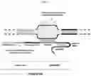Fig. 06 - METHODS FOR MODIFICATION OF TARGET NUCLEIC ACIDS