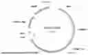 Fig. 15 - METHODS FOR MODIFICATION OF TARGET NUCLEIC ACIDS