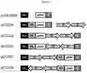 Fig. 25 - METHODS FOR MODIFICATION OF TARGET NUCLEIC ACIDS