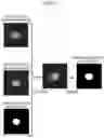 Fig. 20 - FUNDUS IMAGE PROCESSING APPARATUS AND NON-TRANSITORY COMPUTER-READABLE STORAGE MEDIUM