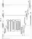 Fig. 08 - Method and system for dynamically adjusting state check start time of word lines