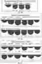 Fig. 07 - INJECTION OF NONIONIC SURFACTANTS INTO WELLS FOR INCREASED OIL PRODUCTION