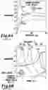 Fig. 07 - NON-INVASIVE SYSTEMS AND METHODS FOR SELECTIVE ACTIVATION OF PHOTOREACTIVE RESPONSES