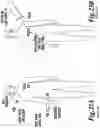 Fig. 22 - NON-INVASIVE SYSTEMS AND METHODS FOR SELECTIVE ACTIVATION OF PHOTOREACTIVE RESPONSES