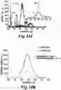Fig. 33 - NON-INVASIVE SYSTEMS AND METHODS FOR SELECTIVE ACTIVATION OF PHOTOREACTIVE RESPONSES