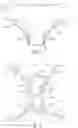 Fig. 02 - ABSORBENT GARMENT AND METHOD OF MANUFACTURE THEREOF
