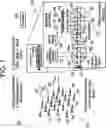 Fig. 02 - Phased-array radio frequency receiver