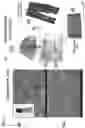 Fig. 02 - STABILIZED PROTEIN IONIC LIQUID APPLICATIONS