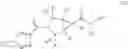 Fig. 13 - Compound having KDM5 inhibitory activity and pharmaceutical use thereof