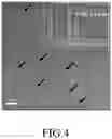 Fig. 04 - CARBON NANODOT-POLYACRYLIC ACID COMPOSITE HYDROGEL, AND METHOD FOR PREPARING AND FORMULATION FOR FORMING THE SAME