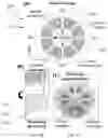 Fig. 09 - Ultra-sensitive compliant strain sensors