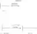 Fig. 197 - 14-MEMBERED KETOLIDES AND METHODS OF THEIR PREPARATION AND USE