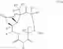 Fig. 484 - 14-MEMBERED KETOLIDES AND METHODS OF THEIR PREPARATION AND USE