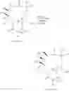 Fig. 86 - 14-MEMBERED KETOLIDES AND METHODS OF THEIR PREPARATION AND USE
