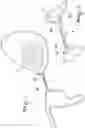 Fig. 02 - SADDLE FOR HORSE RIDING