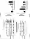 Fig. 08 - GENE THERAPY TREATMENT