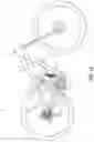 Fig. 12 - Bicycle rear suspension system