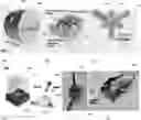 Fig. 01 - Microfluidic sensing devices