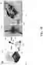Fig. 03 - Microfluidic sensing devices