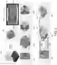 Fig. 13 - Microfluidic sensing devices