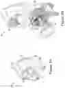 Fig. 03 - Systems and methods for volumetric acquisition in a single-sided MRI scanner