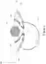 Fig. 06 - Systems and methods for volumetric acquisition in a single-sided MRI scanner