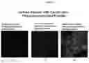 Fig. 02 - Cellular Uptake