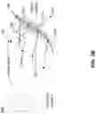 Fig. 07 - Generation of stylized drawing of three-dimensional shapes using neural networks