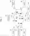 Fig. 02 - DIRECT COMMUNICATION
