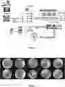 Fig. 02 - SYSTEM AND METHOD FOR AUTOMATIC DIAGNOSIS OF MIDDLE EAR DISEASES FROM AN OTOSCOPIC IMAGE