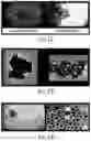 Fig. 07 - Compositions and methods for targeted delivery of therapeutic and/or diagnostic species